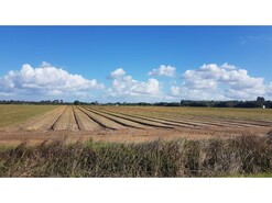 Terreno Rstico - Longueira/Almograve, Odemira, Beja