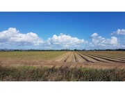Terreno Rstico - Longueira/Almograve, Odemira, Beja - Miniatura: 2/2