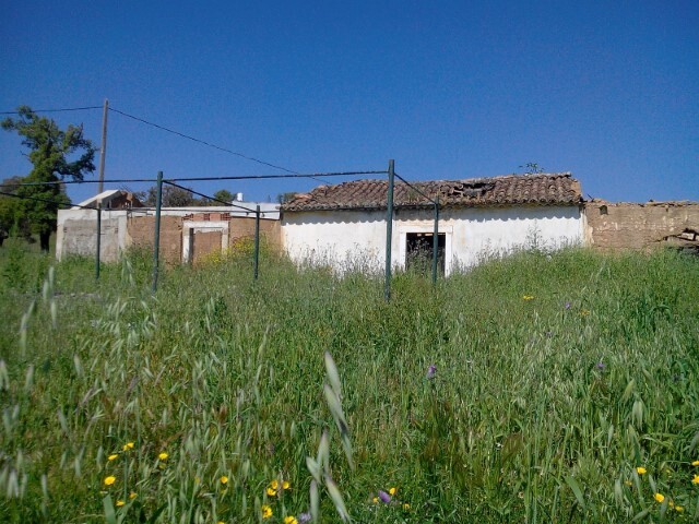Quinta - Cercal do Alentejo, Santiago do Cac�m, Set�bal - Imagem grande