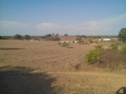 Quinta - Cercal do Alentejo, Santiago do Cac�m, Set�bal - Miniatura: 3/6