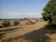 Quinta - Cercal do Alentejo, Santiago do Cac�m, Set�bal - Miniatura: 4/6