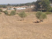 Quinta - Cercal do Alentejo, Santiago do Cac�m, Set�bal - Miniatura: 5/6