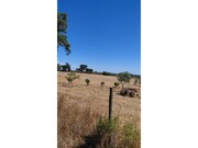 Quinta - Cercal do Alentejo, Santiago do Cac�m, Set�bal - Miniatura: 7/9