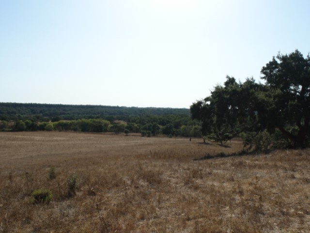 Quinta - São Domingos, Santiago do Cacém, Setúbal - Imagem grande