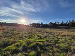 Terreno Rstico - So Lus, Odemira, Beja
