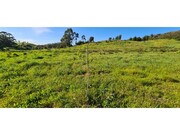 Terreno Urbano - So Lus, Odemira, Beja - Miniatura: 9/9