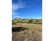 Terreno Rstico - So Lus, Odemira, Beja - Miniatura: 4/9