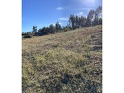 Terreno Rstico - So Lus, Odemira, Beja - Miniatura: 5/9