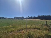 Terreno Rstico - So Lus, Odemira, Beja - Miniatura: 6/9