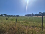 Terreno Rstico - So Lus, Odemira, Beja - Miniatura: 8/9