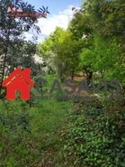 Quinta T0 - Rio de Loba, Viseu, Viseu - Miniatura: 4/4