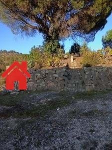 Quinta T0 - Sezures, Penalva do Castelo, Viseu - Imagem grande