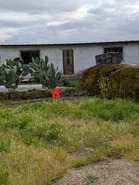 Quinta T0 - Fal e Vila Ch de S, Fundo, Castelo Branco