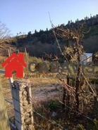 Quinta T0 - Sezures, Penalva do Castelo, Viseu - Miniatura: 2/18