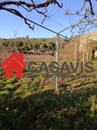 Quinta T0 - Sezures, Penalva do Castelo, Viseu - Miniatura: 4/18