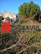 Quinta T0 - Sezures, Penalva do Castelo, Viseu - Miniatura: 5/18