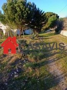 Quinta T0 - Sezures, Penalva do Castelo, Viseu - Miniatura: 6/18