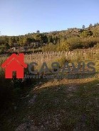 Quinta T0 - Sezures, Penalva do Castelo, Viseu - Miniatura: 10/18