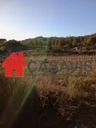 Quinta T0 - Sezures, Penalva do Castelo, Viseu - Miniatura: 11/18