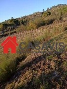 Quinta T0 - Sezures, Penalva do Castelo, Viseu - Miniatura: 12/18