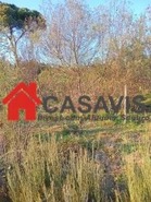Quinta T0 - Sezures, Penalva do Castelo, Viseu - Miniatura: 15/18