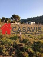 Quinta T0 - Sezures, Penalva do Castelo, Viseu - Miniatura: 16/18
