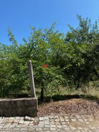 Terreno R�stico T0 - Queiriga, Vila Nova de Paiva, Viseu - Miniatura: 4/9