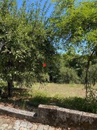 Terreno R�stico T0 - Queiriga, Vila Nova de Paiva, Viseu - Miniatura: 6/9