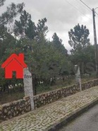 Terreno Rstico T0 - Queiriga, Vila Nova de Paiva, Viseu - Miniatura: 3/3