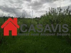 Moradia T0 - Couto de Baixo, Viseu, Viseu - Miniatura: 4/13