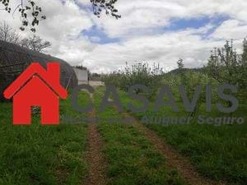 Moradia T0 - Couto de Baixo, Viseu, Viseu - Miniatura: 6/13