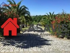 Moradia T4 - Mes, Castro Daire, Viseu - Miniatura: 12/14