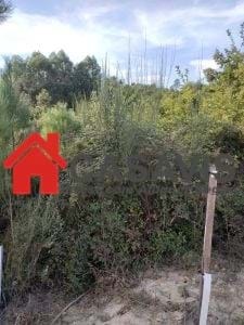 Terreno Rústico T0 - Viseu, Viseu, Viseu - Imagem grande