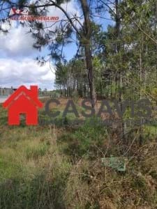 Terreno R�stico T0 - Cavern�es, Viseu, Viseu - Imagem grande