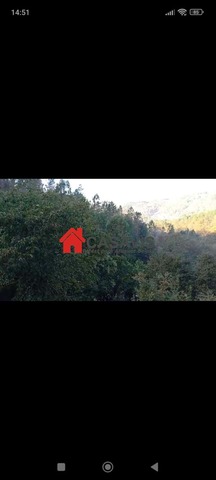 Quinta T0 - So Pedro do Sul, So Pedro do Sul, Viseu - Imagem grande