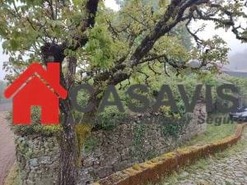 Ruina T0 - Moledo, Castro Daire, Viseu - Miniatura: 1/1