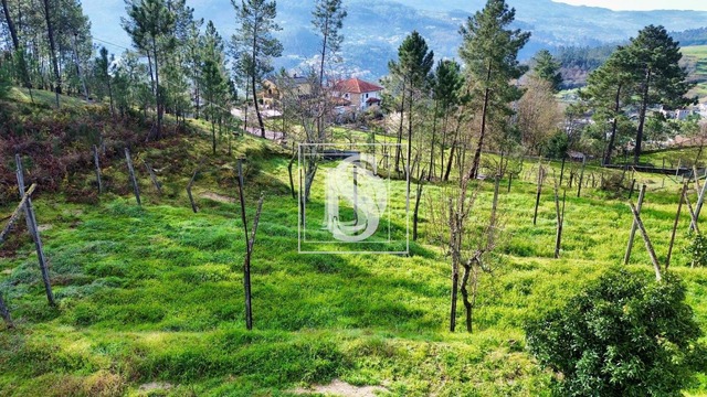 Terreno Rstico T0 - Amarante, Amarante, Porto - Imagem grande