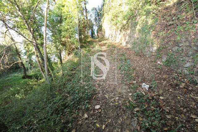 Terreno R�stico - REBORDELO, Amarante, Porto - Imagem grande