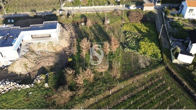 Terreno R�stico - Ferreirim, Lamego, Viseu - Imagem grande
