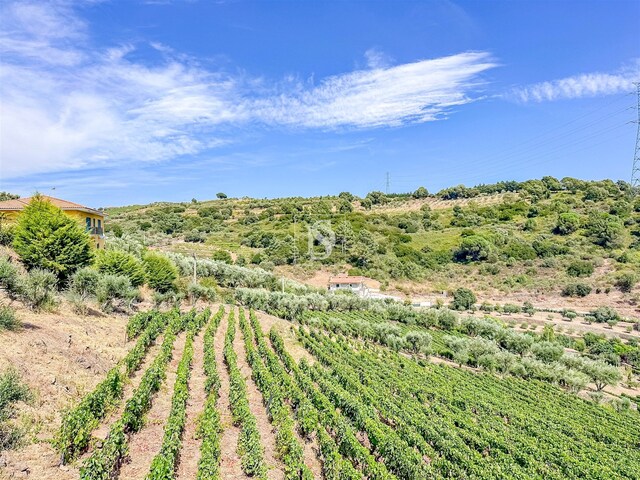 Terreno R�stico - Poiares, Peso da R�gua, Vila Real - Imagem grande