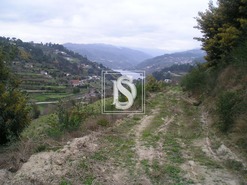 Terreno Rstico T0 - Penha Longa, Marco de Canaveses, Porto