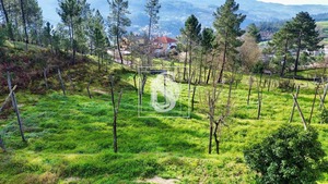 Terreno Rstico T0 - Amarante, Amarante, Porto