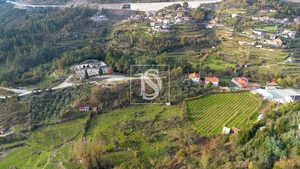 Terreno R�stico - Ansi�es, Amarante, Porto
