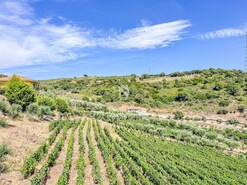 Terreno R�stico - Poiares, Peso da R�gua, Vila Real