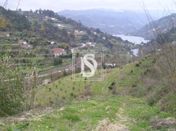 Terreno Rstico T0 - Penha Longa, Marco de Canaveses, Porto - Miniatura: 1/2