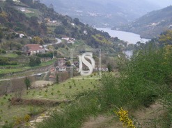 Terreno Rstico T0 - Penha Longa, Marco de Canaveses, Porto - Miniatura: 2/2