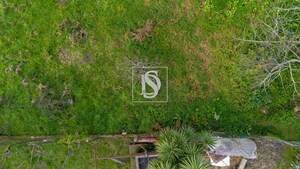 Terreno Rstico T0 - Figueir, Amarante, Porto - Miniatura: 11/18