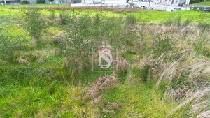 Terreno Rstico T0 - Figueir, Amarante, Porto - Miniatura: 16/18