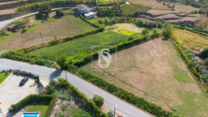 Terreno Rstico T0 - Gouveia (So Simo), Amarante, Porto - Miniatura: 5/24