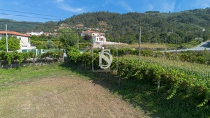 Terreno Rstico T0 - Gouveia (So Simo), Amarante, Porto - Miniatura: 20/24
